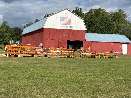 Pumpkins and Greens Galore