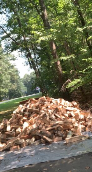 seasoned firewood 