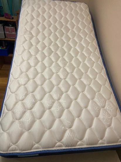 Twin Mattress (2 years old with tags still on) - $100