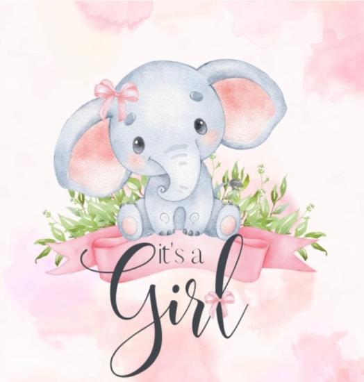 Wanted NEWBORN girl items 