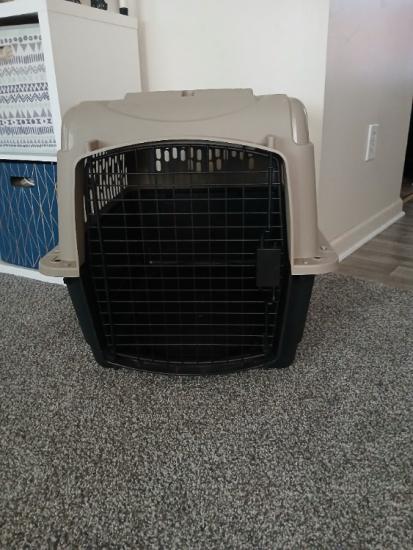 Pet carrier