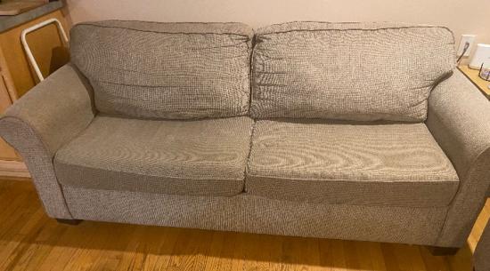 Sleeper sofa &amp; sleeper loveseat $200