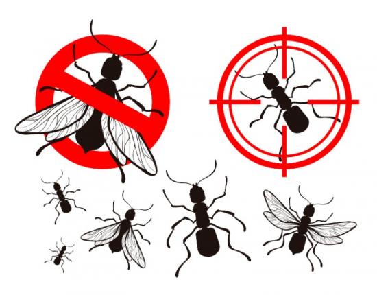 pest control services available