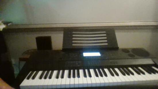Casio Keyboard and stand