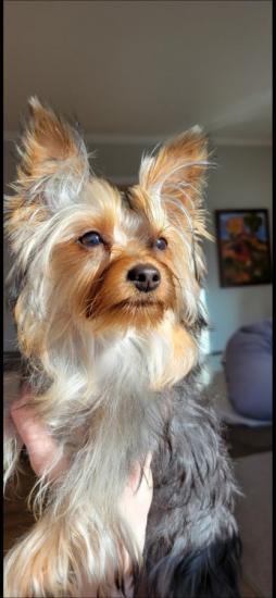 Looking for an update 