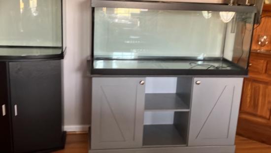 Fish aquarium with stand