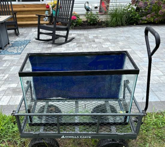 30 Gallon Aquarium and Black Metal Stand $55