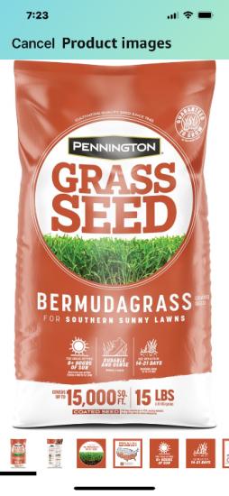 Bermuda Grass Seed